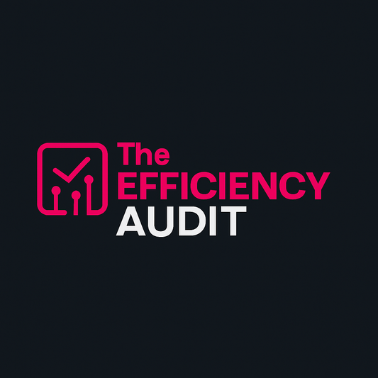 The Efficiency Audit